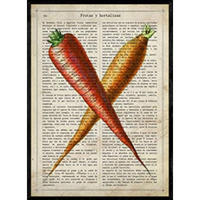 POSTER Karotten . A4 Rahmenlos - Klar, Papier (29.7/5/21cm) - Nacnic