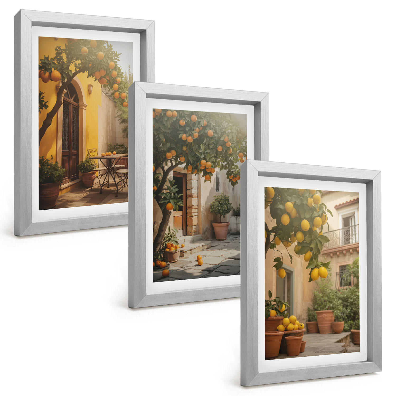 BILDER SET 3er Set - 20x30 cm Silberner Rahmen - Zitrustöpfe für sonnige Terrassen - Silberfarben, Kunststoff (20/30cm) - TULUP