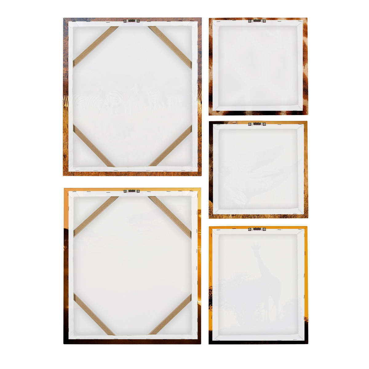 BILDERSET Safari 5-Teilig - Orange, Holzwerkstoff (80/1cm) - Art for the Home
