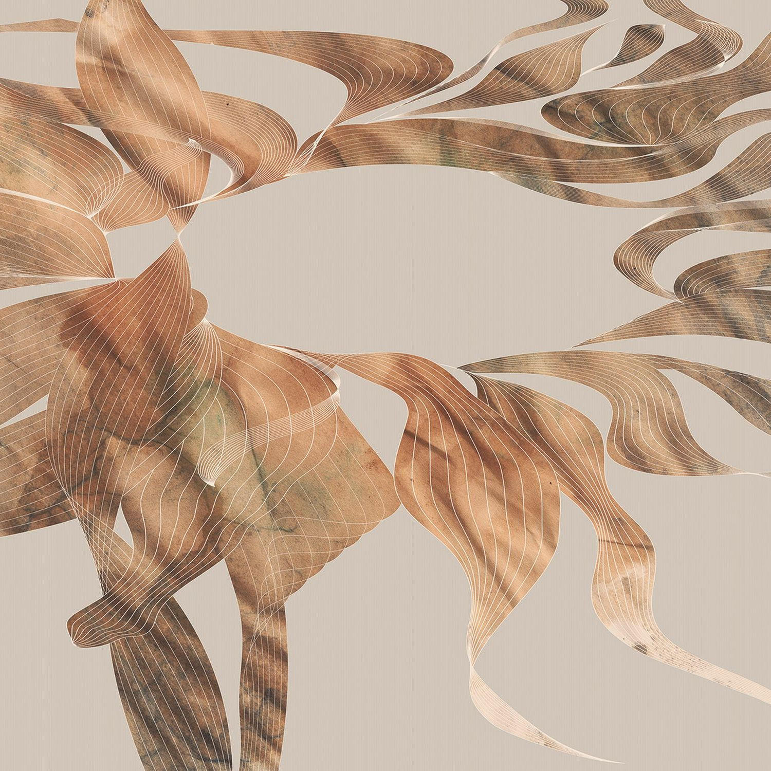 FOTOTAPETE Herbstblätter 400 x 250 cm - Beige, Papier (400/250cm) - Sanders & Sanders