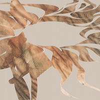 FOTOTAPETE Herbstblätter 400 x 250 cm - Beige, Papier (400/250cm) - Sanders & Sanders