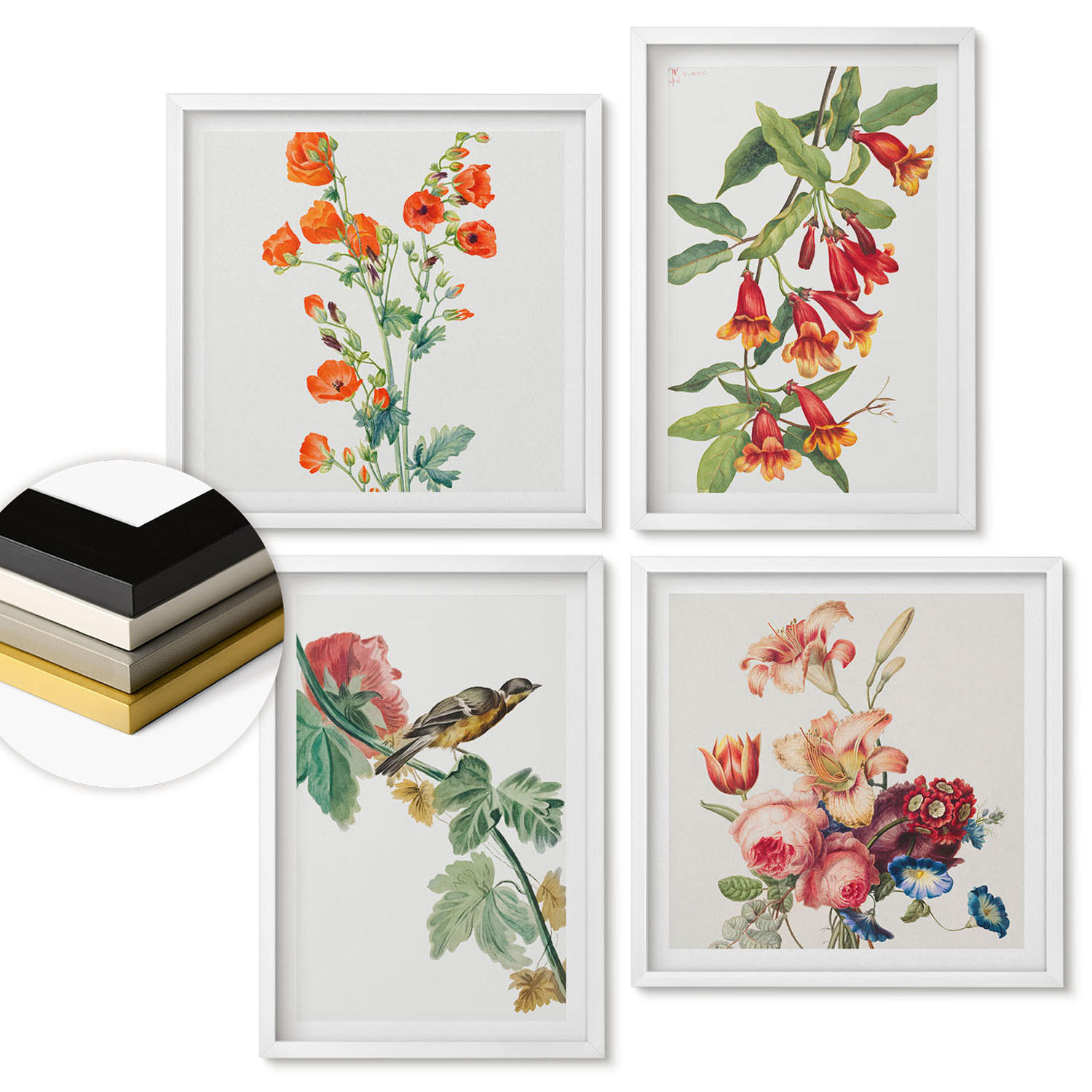 WANDBILDER 4er-Set - 50x50 cm & 40x60 cm Weißer Rahmen - Gemalte Blumen, Retro-Vogel - Weiß, Kunststoff (50/50cm) - ArtPrintCave