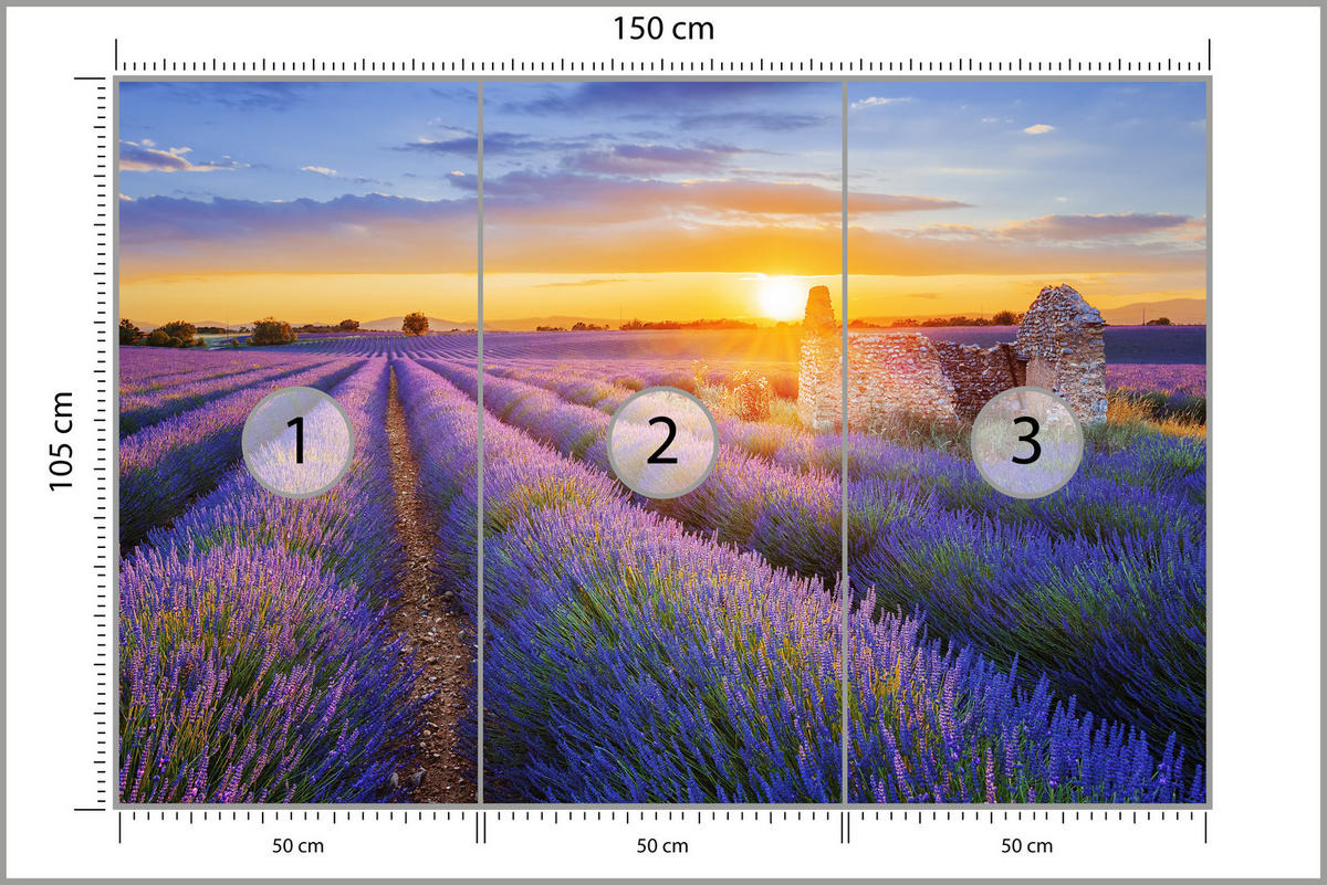 FOTOTAPETE für Wohnzimmer Lavendelfeld Sonnenuntergang Lila 150x105 - Violett/Rosa, Papier (150/105cm) - Muralo