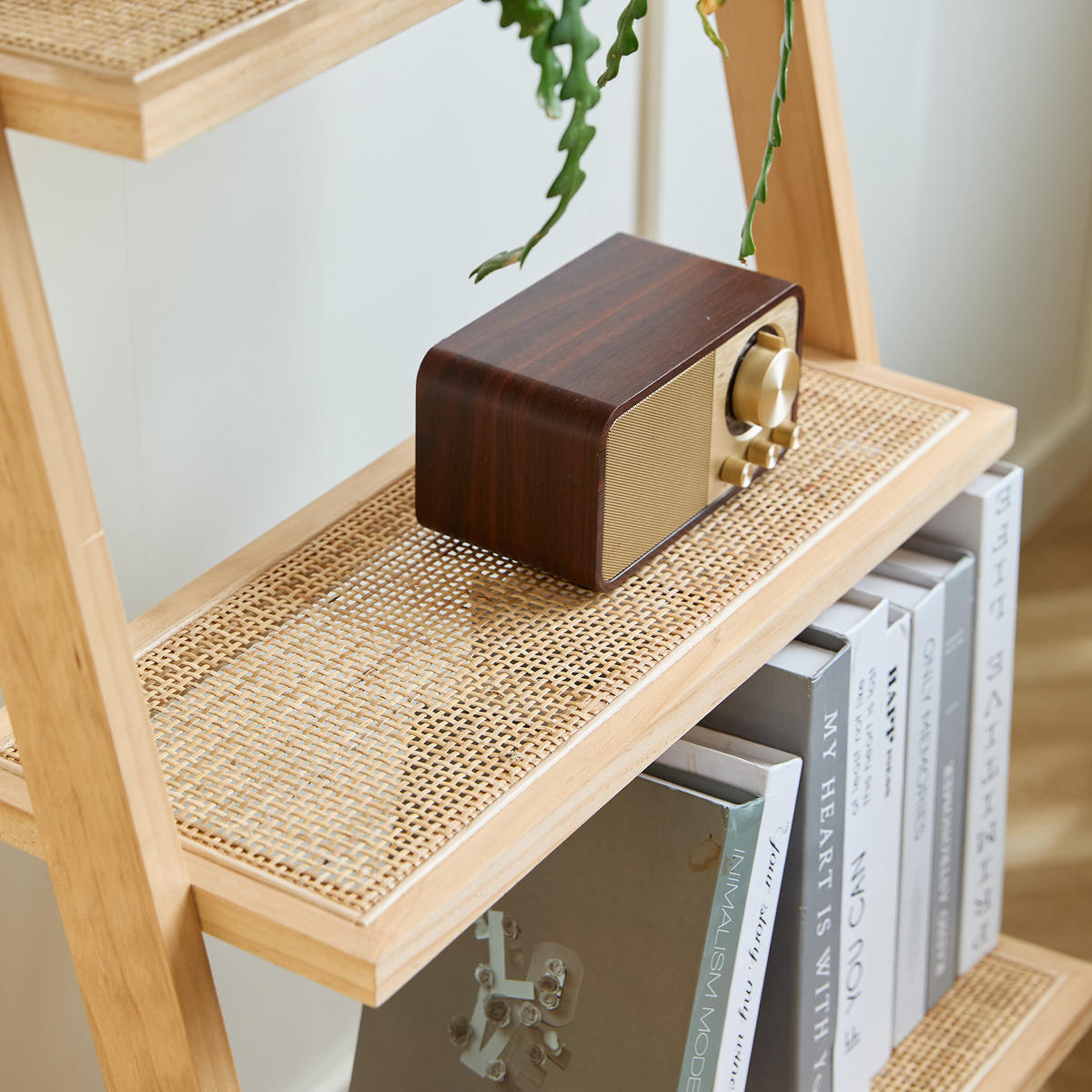 REGAL Braun - Braun, Holz (55.5/157/49cm) - Nordlys