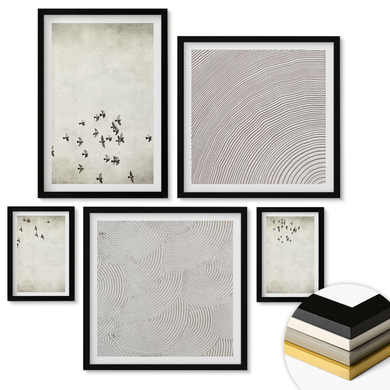 WANDBILDER 5er-Set - 50x50 cm & 20x30 cm & 40x60 cm Schwarzer Rahmen - Minimalistische Vogelmalerei - Schwarz, Kunststoff (40/60cm) - ArtPrintCave