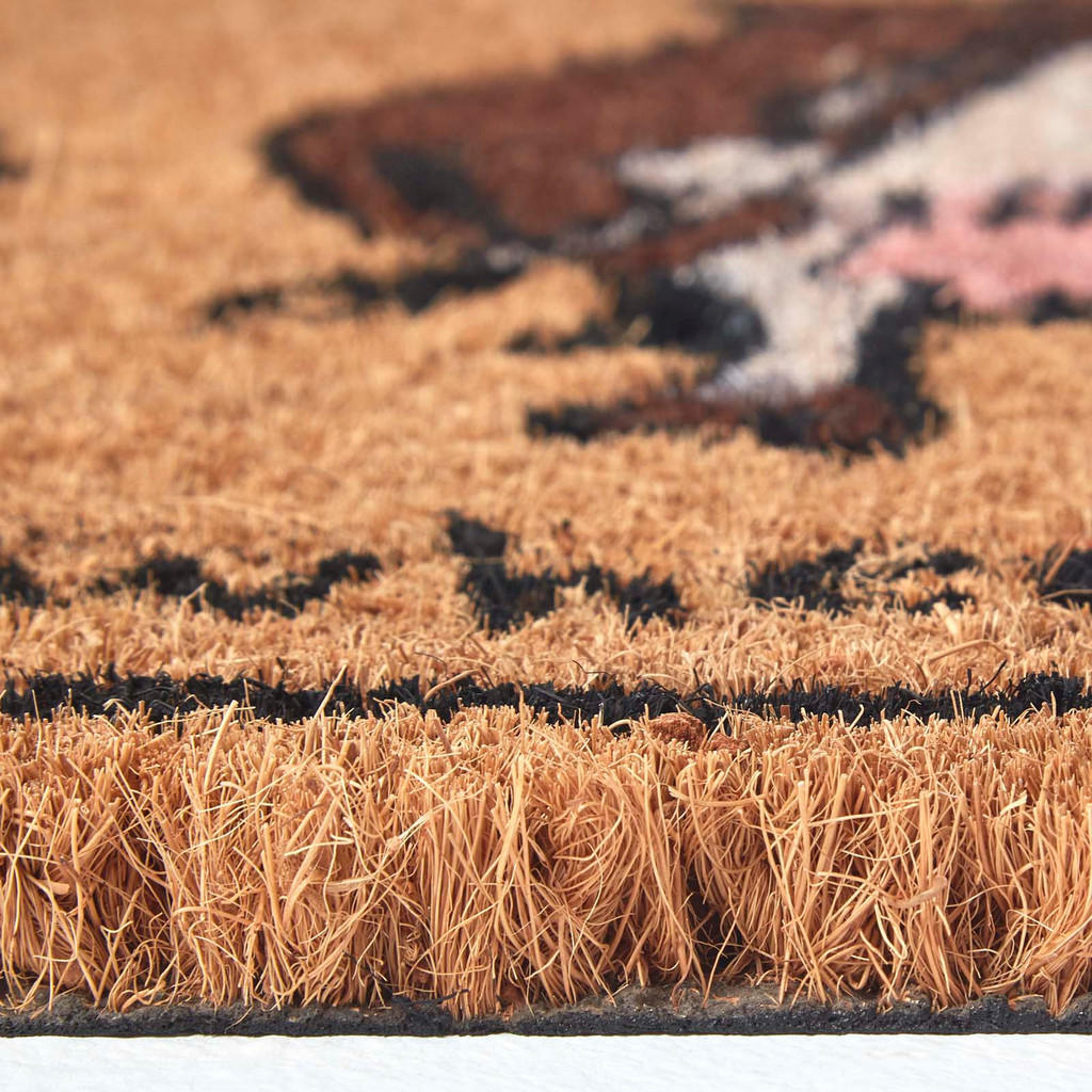 Thumbnail - Homescapes Fussmatte, Mehrfarbig, Naturmaterialien, Tiere, Rechteckig, 40x61 cm, Teppiche & Böden, Fuß & Stufenmatten, F...