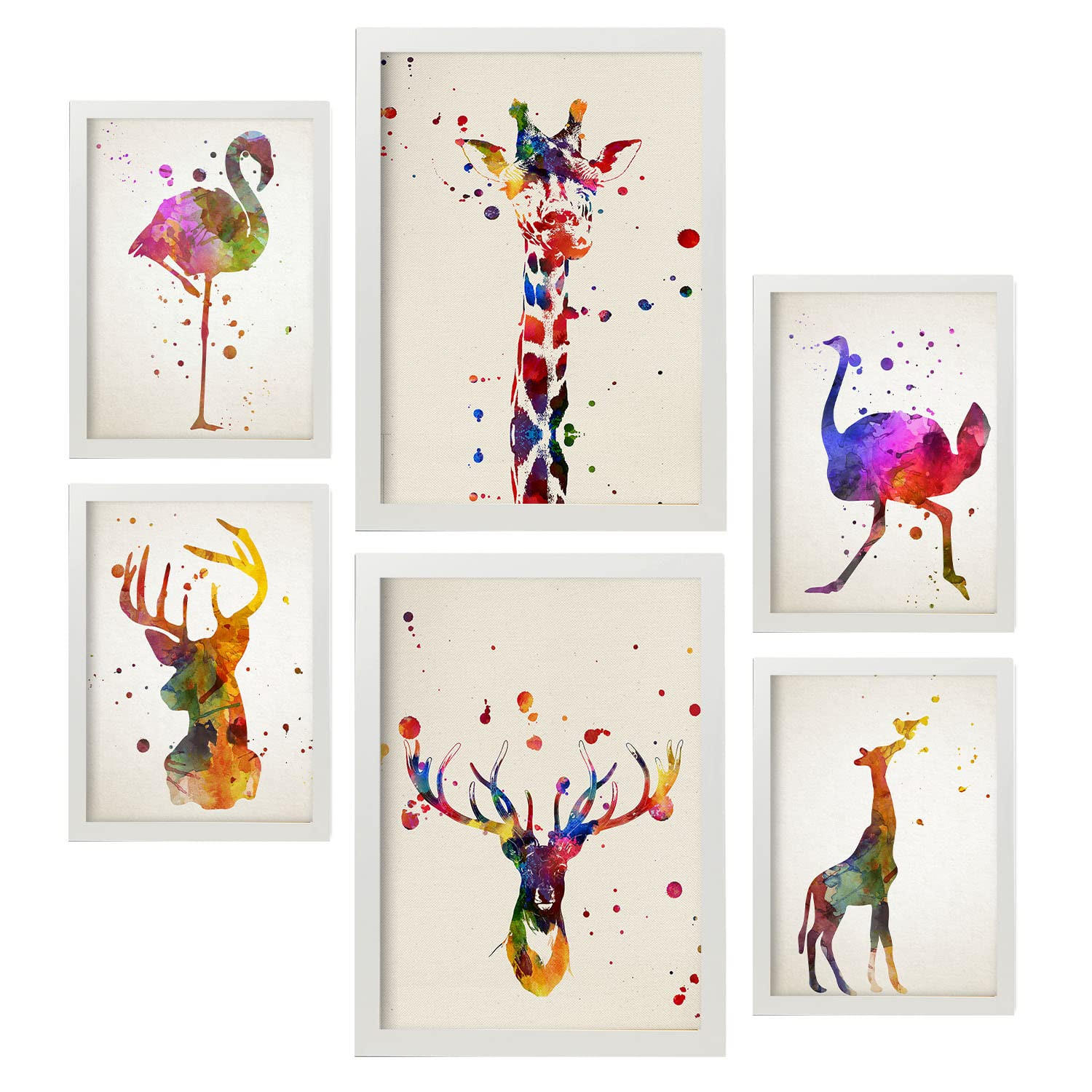 POSTER Set Mit 6 Von Aquarelltieren Sammlung A3 & A4 Weißer Rahmen - Weiß, Papier (29/3cm) - Nacnic