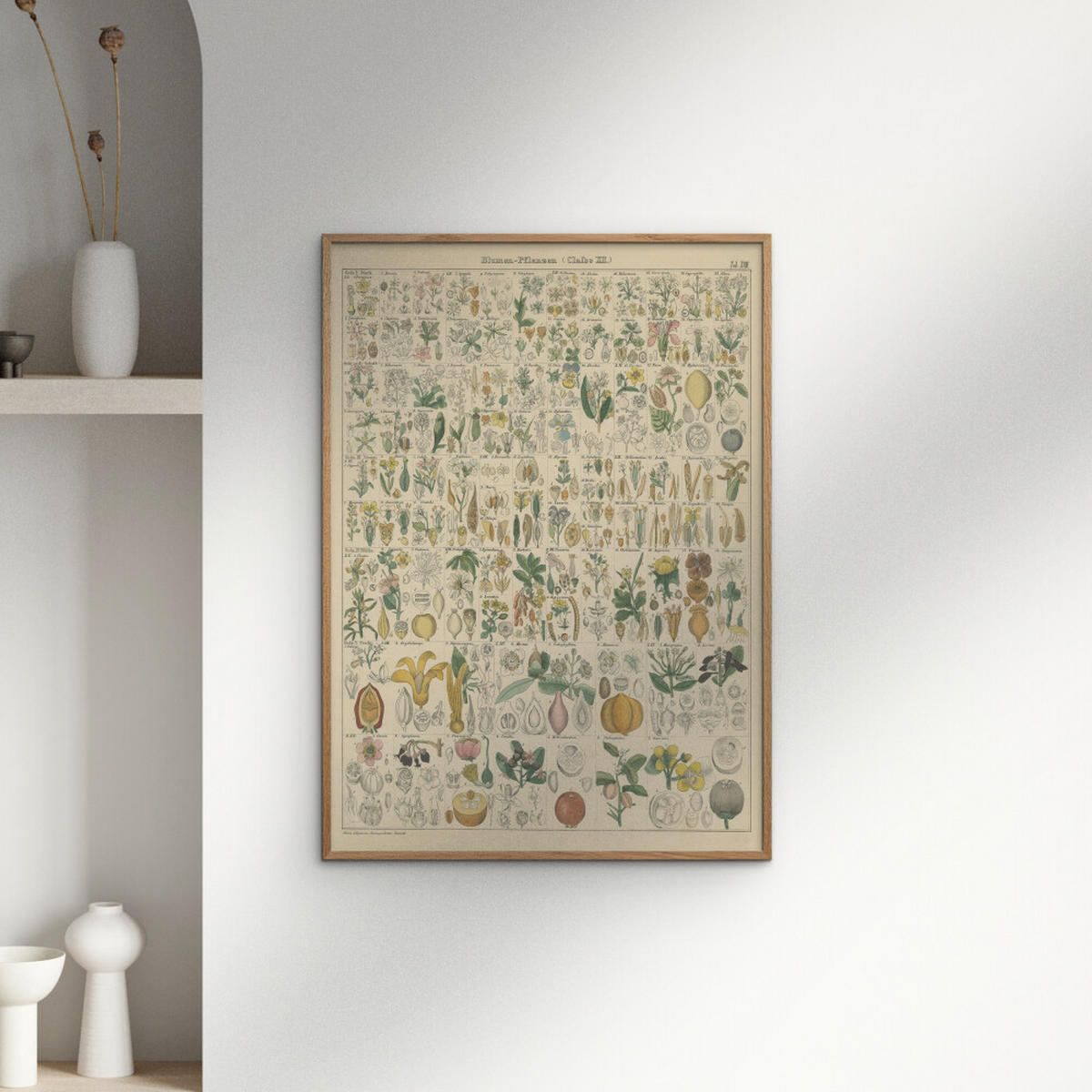 POSTER mit Rahmen Wild Apple - Flora Chart I - Eichefarben/Grün, Holz/Papier (50/70cm) - Poster&Frame