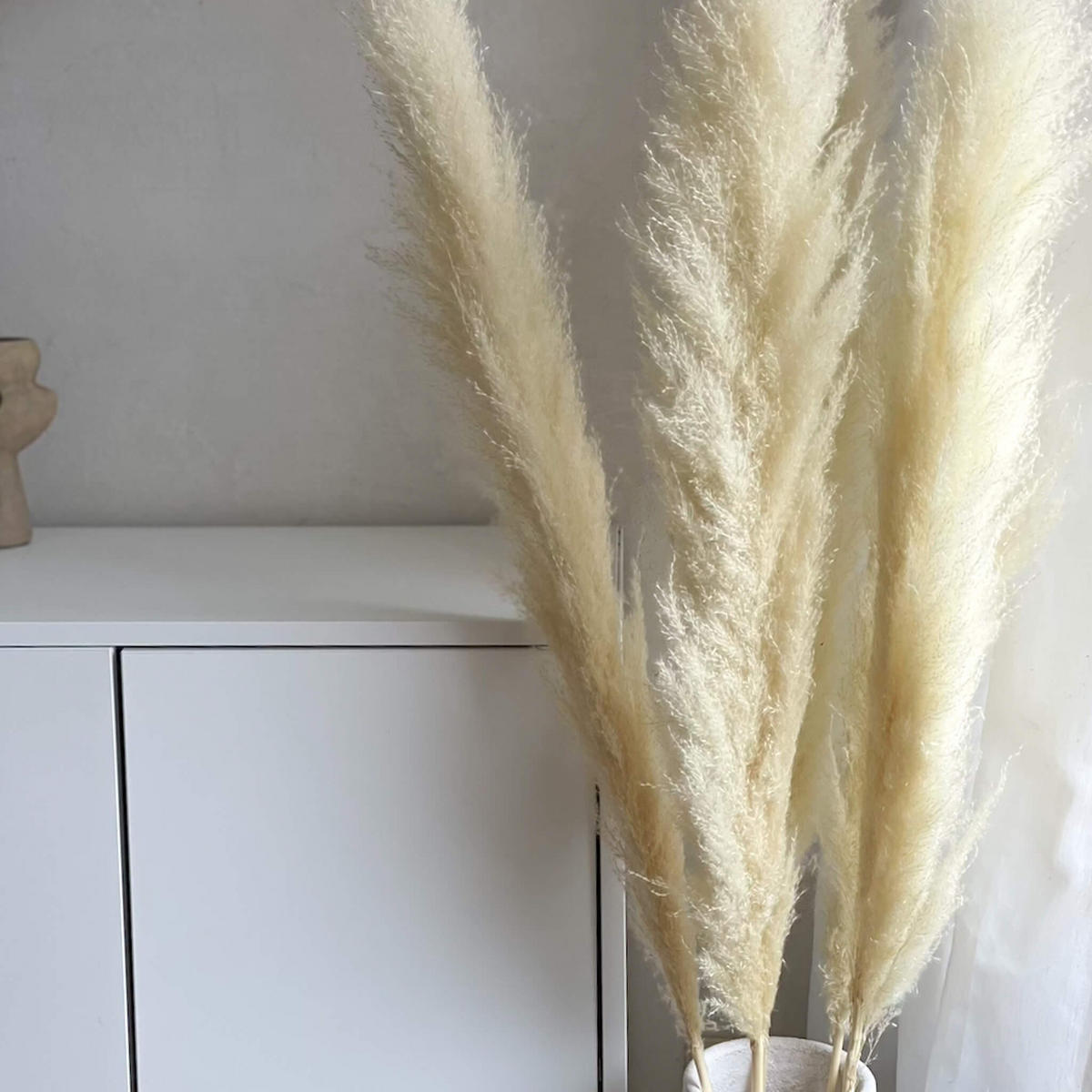 PAMPASGRAS gebleicht - weiß / 110 cm - Beige, Naturmaterialien (110cm) - Lykke & You