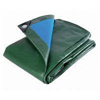 ABDECKPLANE 2x4m, 180g/m², Wasserdicht, Gewebeplane, Schutzplane, Plane mit Ösen, Gartenplane, Bauplane, LKW Plane, Abdeckfolie, Outdoor Plane - Grün, Kunststoff (200/0.2/400cm) - JUNG