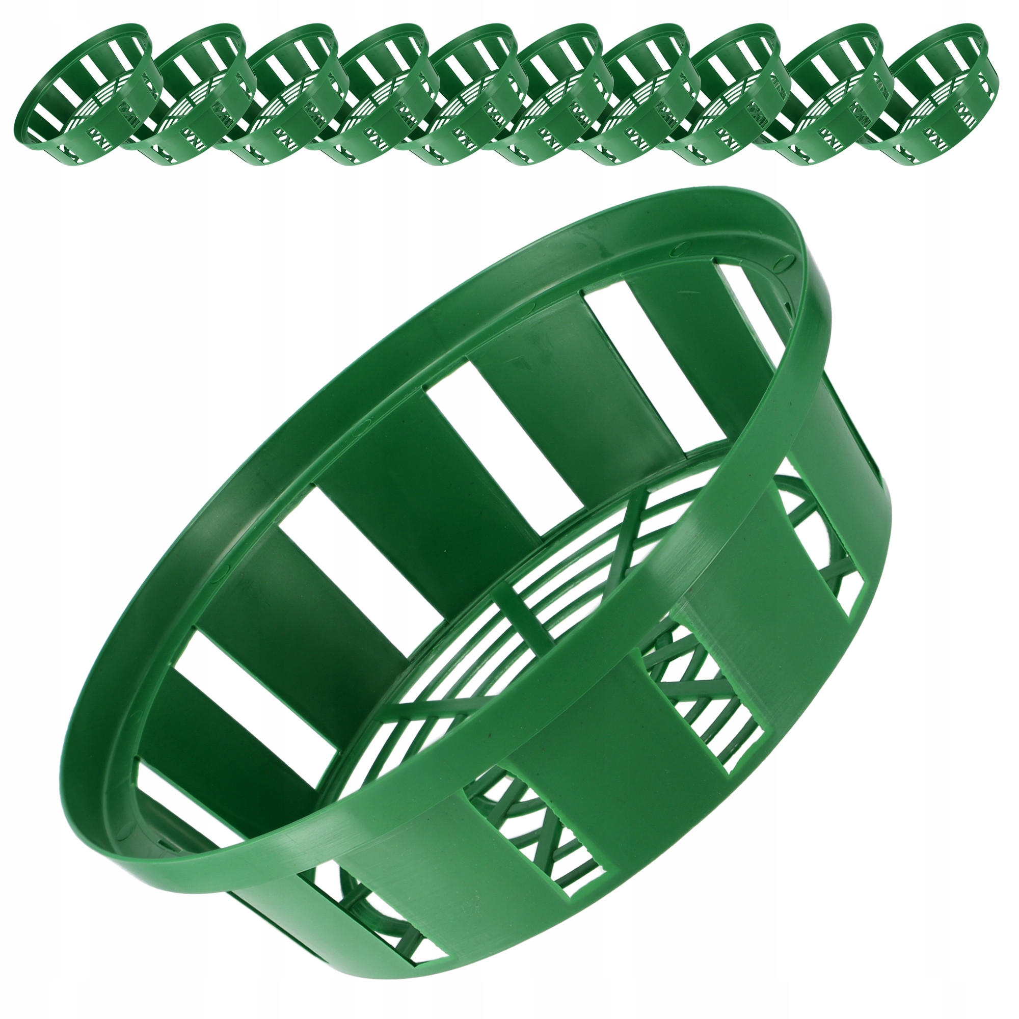 BLUMENZWIEBELKORB 23 cm, 10 Stk. - Grün, Kunststoff - KADAX