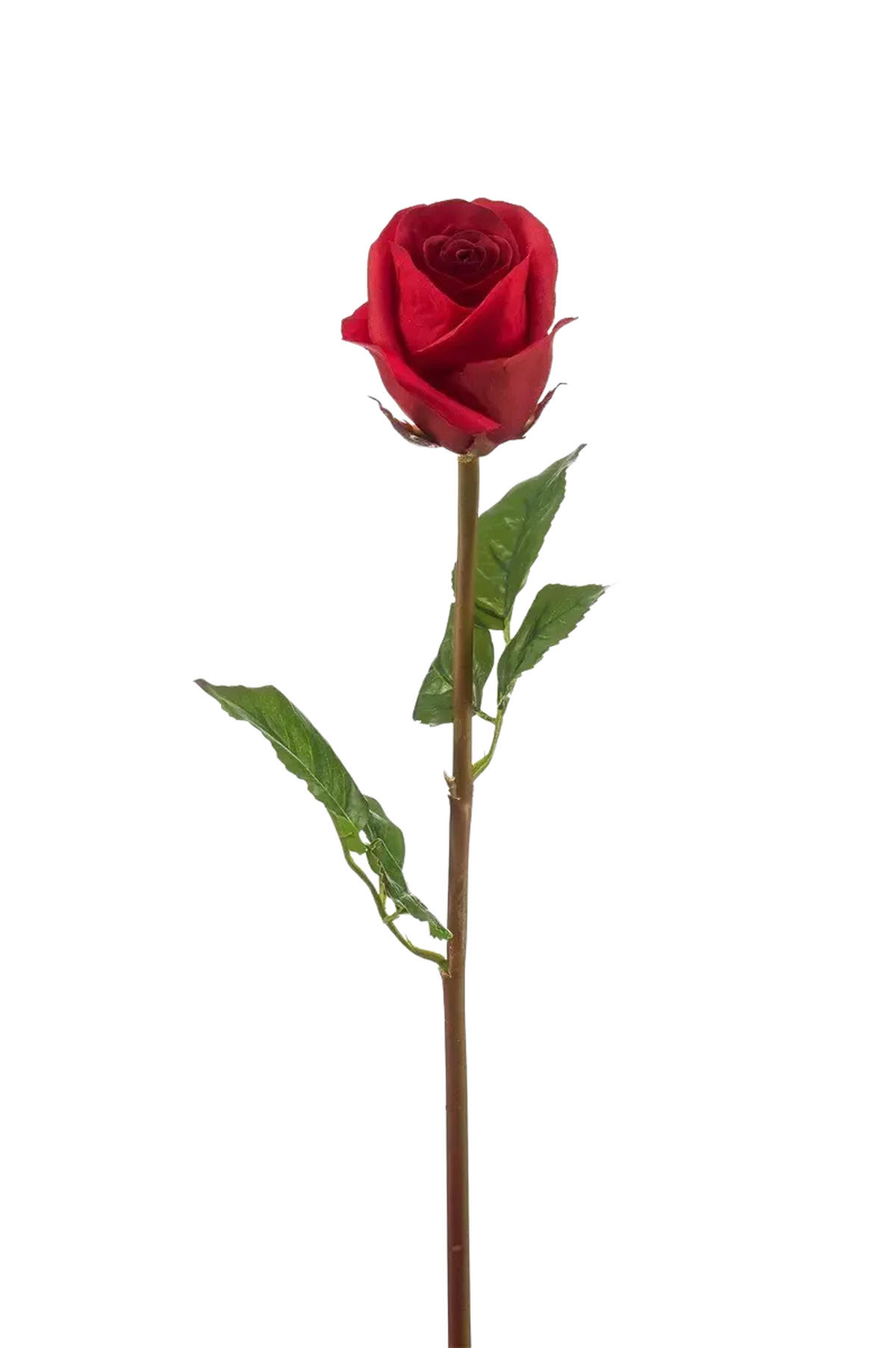 KÜNSTLICHE Rose - Carrie 58 cm - Rot, Kunststoff (58cm) - Emerald