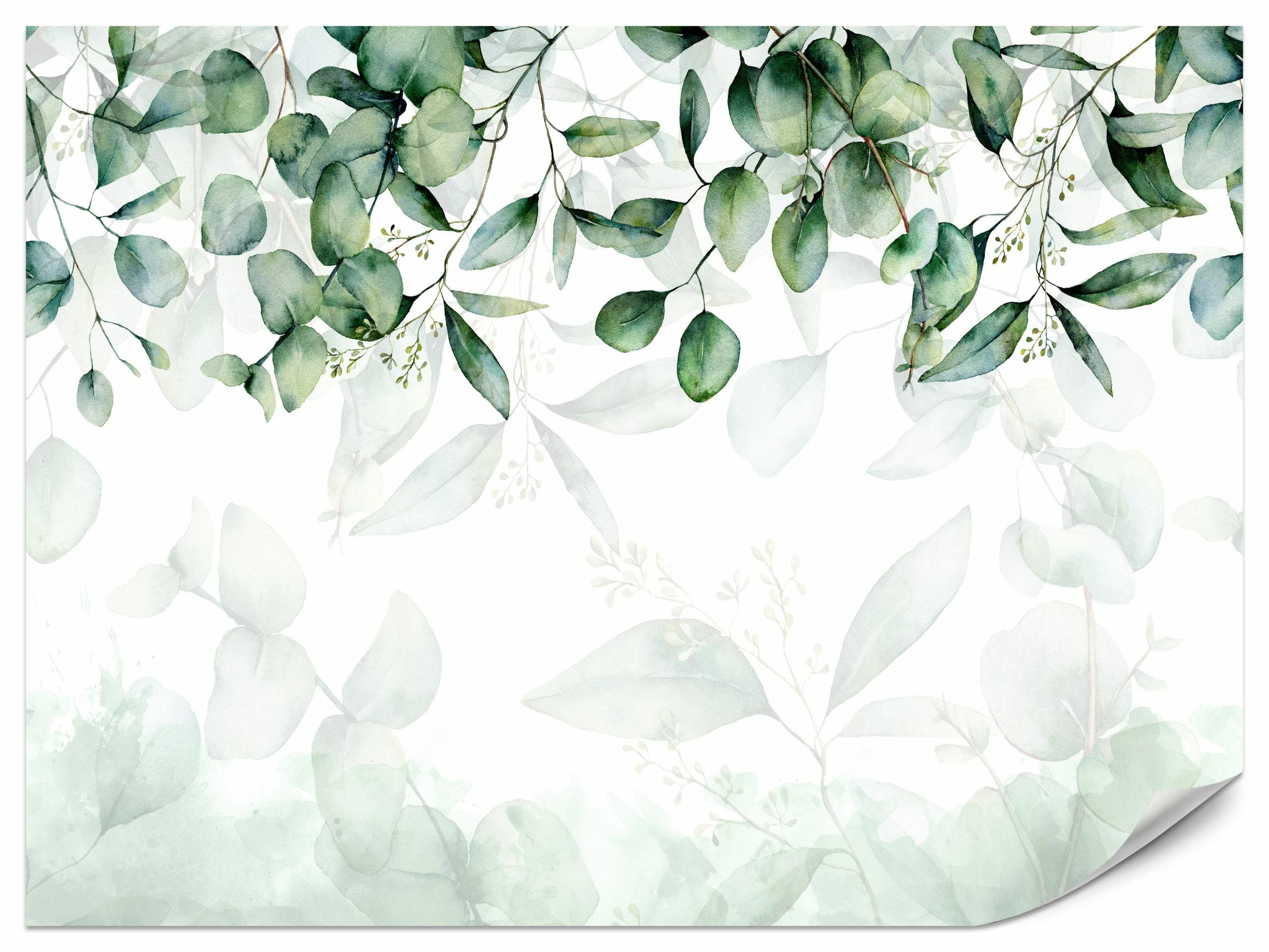 FOTOTAPETE Blätter Pflanzen Natur Für Wohnzimmer 180x120cm - Weiß/Grün, Papier (180/120cm) - Muralo