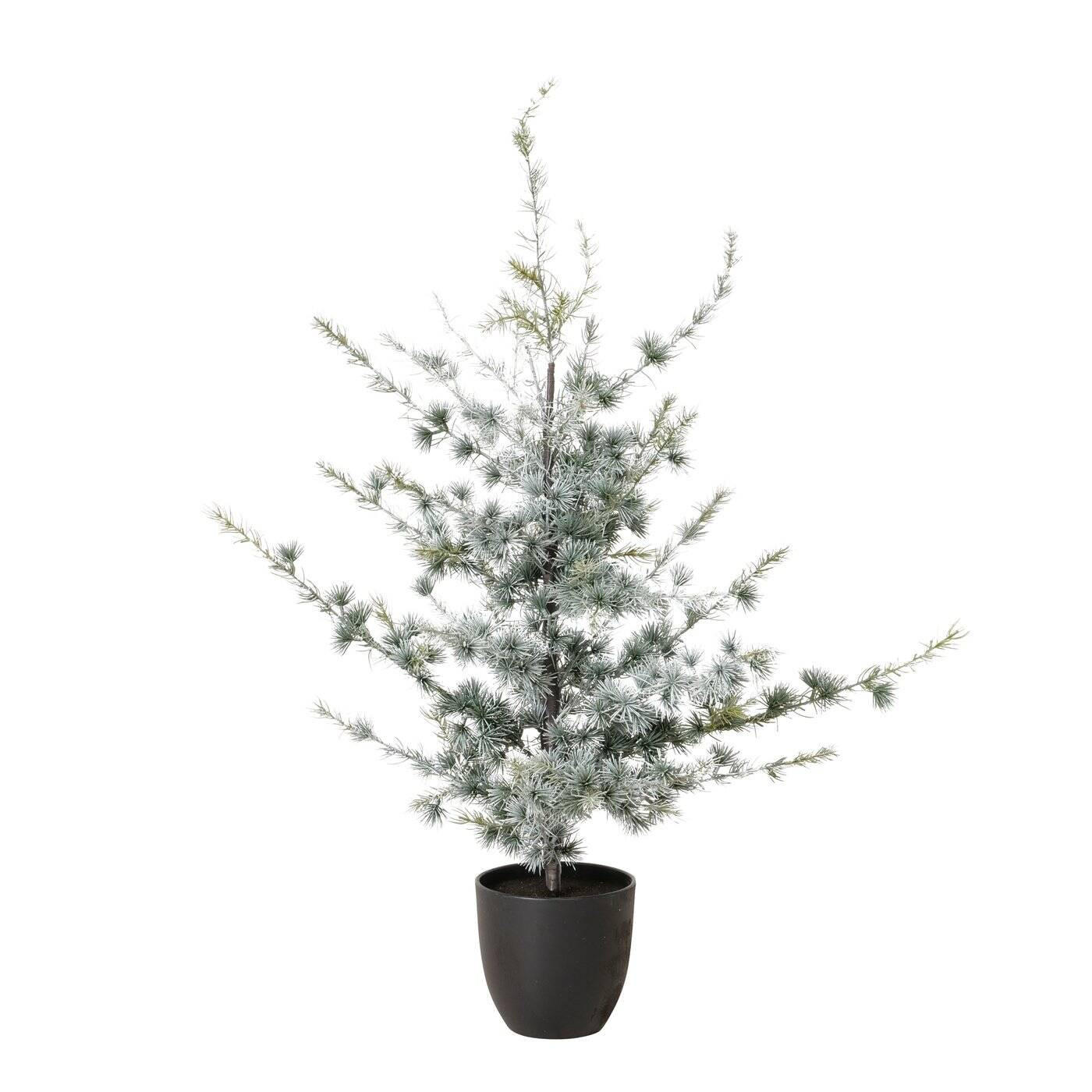 WEIHNACHTSBAUM Kiefer 90 cm - Multicolor, Kunststoff (50/90cm) - Boltze Home