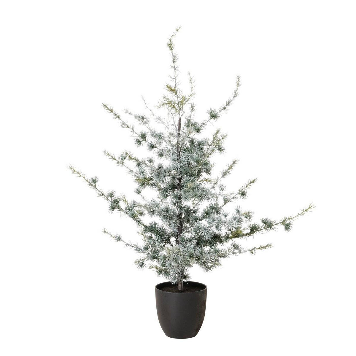 WEIHNACHTSBAUM Kiefer 90 cm - Multicolor, Kunststoff (50/90cm) - Boltze Home