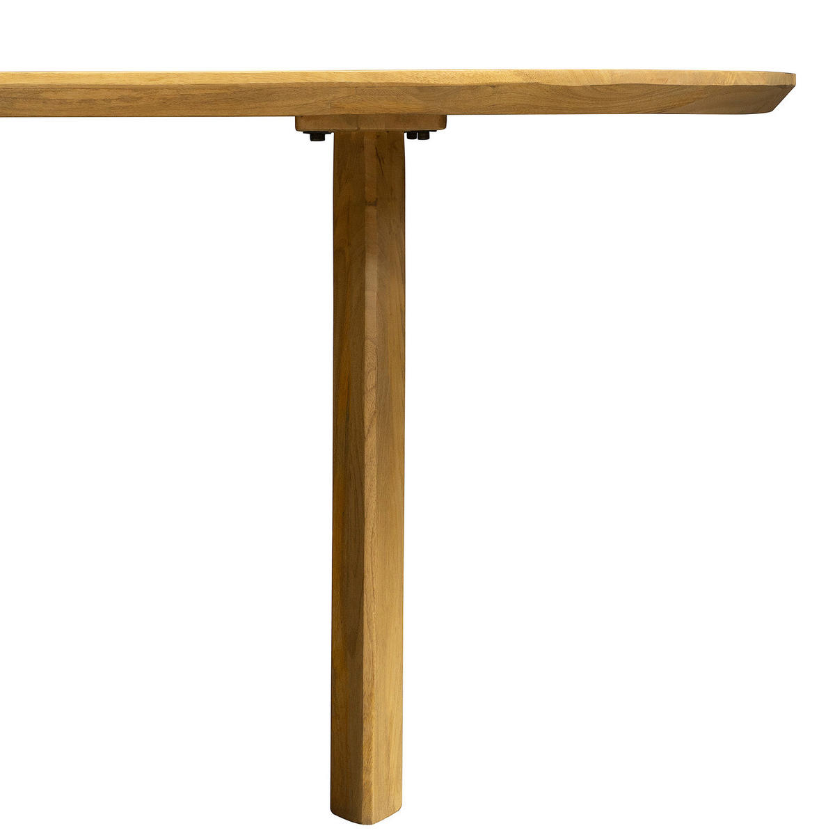 MASSIVER ESSTISCH - Massivholz - Mangoholz - Braun, Holz (100/220/77cm) - home24