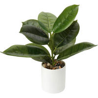 KUNSTPFLANZE Monstera 31 cm - Grün, Kunststoff (32cm)