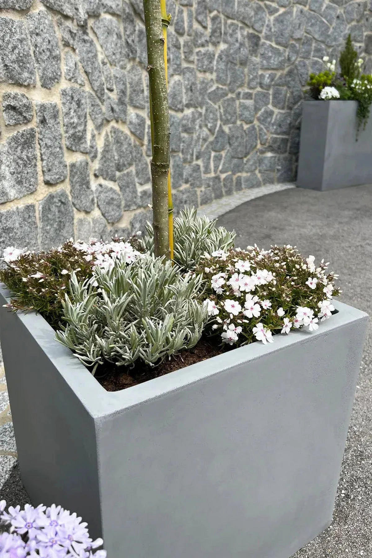 PFLANZTOPF Arven grau | 40x40 - Grau, Kunststoff (40cm) - aplanta