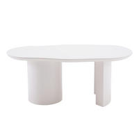 COUCHTISCH Weiß unregelmäßige Form lackiert 100/50/40,5 cm - Weiß, Holzwerkstoff (50/100/40.5cm) - PANGIVO
