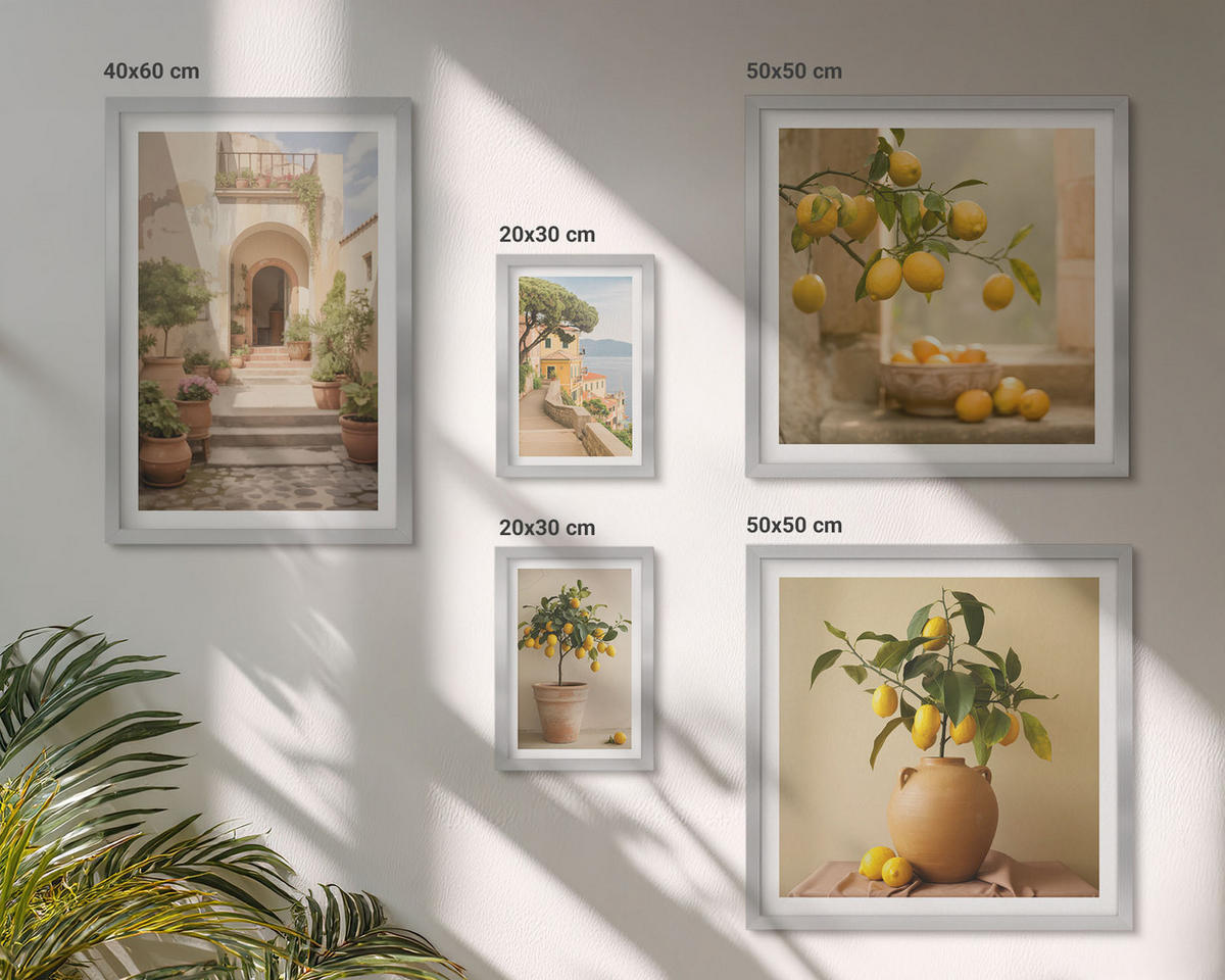 BILDER SET 5er Set - 50x50 cm & 20x30 cm & 40x60 cm Silberner Rahmen - Frische, farbenfrohe Zitrusfrüchte - Silberfarben, Kunststoff (40/60cm) - TULUP