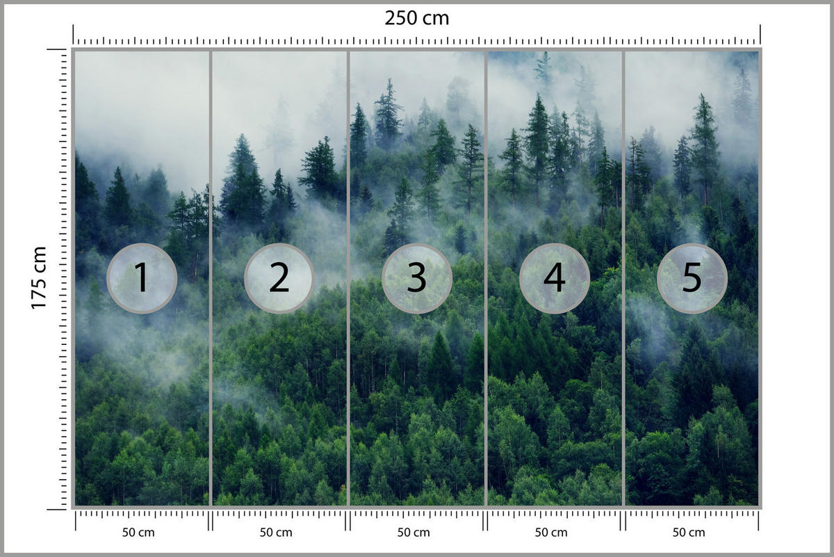 FOTOTAPETE Wald im Nebel Natur Landschaft 3D 250x175 - Grau/Grün, Papier (250/175cm) - Muralo