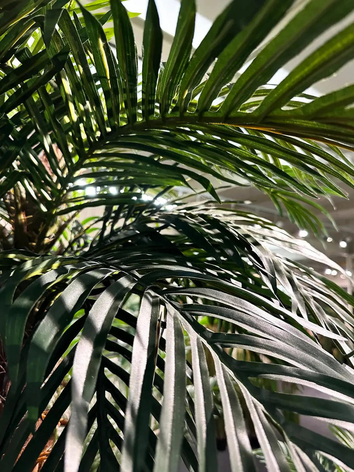 KUNSTBAUM Künstliche Dattelpalme - Fabienne 150 cm - Grün, Kunststoff (150cm) - aplanta