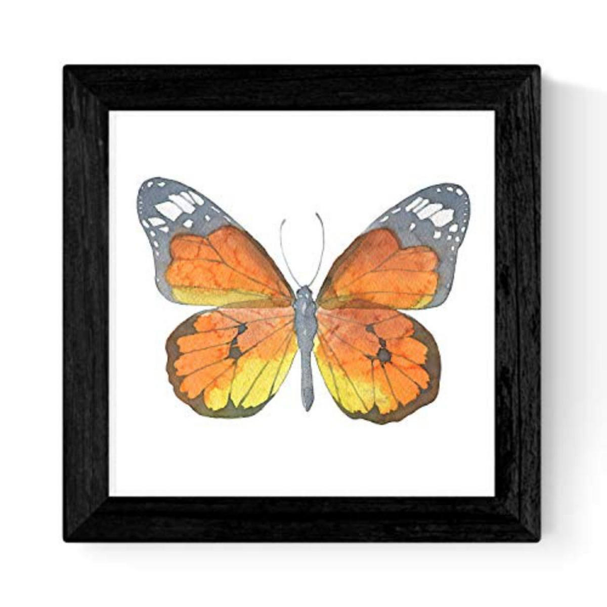 POSTER Set mit 4 Schmetterlinge 30x30 cm Schwarzer Rahmen - Schwarz, Papier (30/3cm) - Nacnic