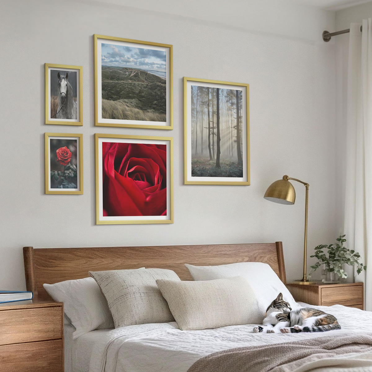 WANDBILDER 5er Set - 50x50 cm & 20x30 cm & 40x60 cm Goldrahmen - Rote Rosen auf pferdegrauem Hintergrund - Goldfarben, Kunststoff (40/60cm) - ArtPrintCave