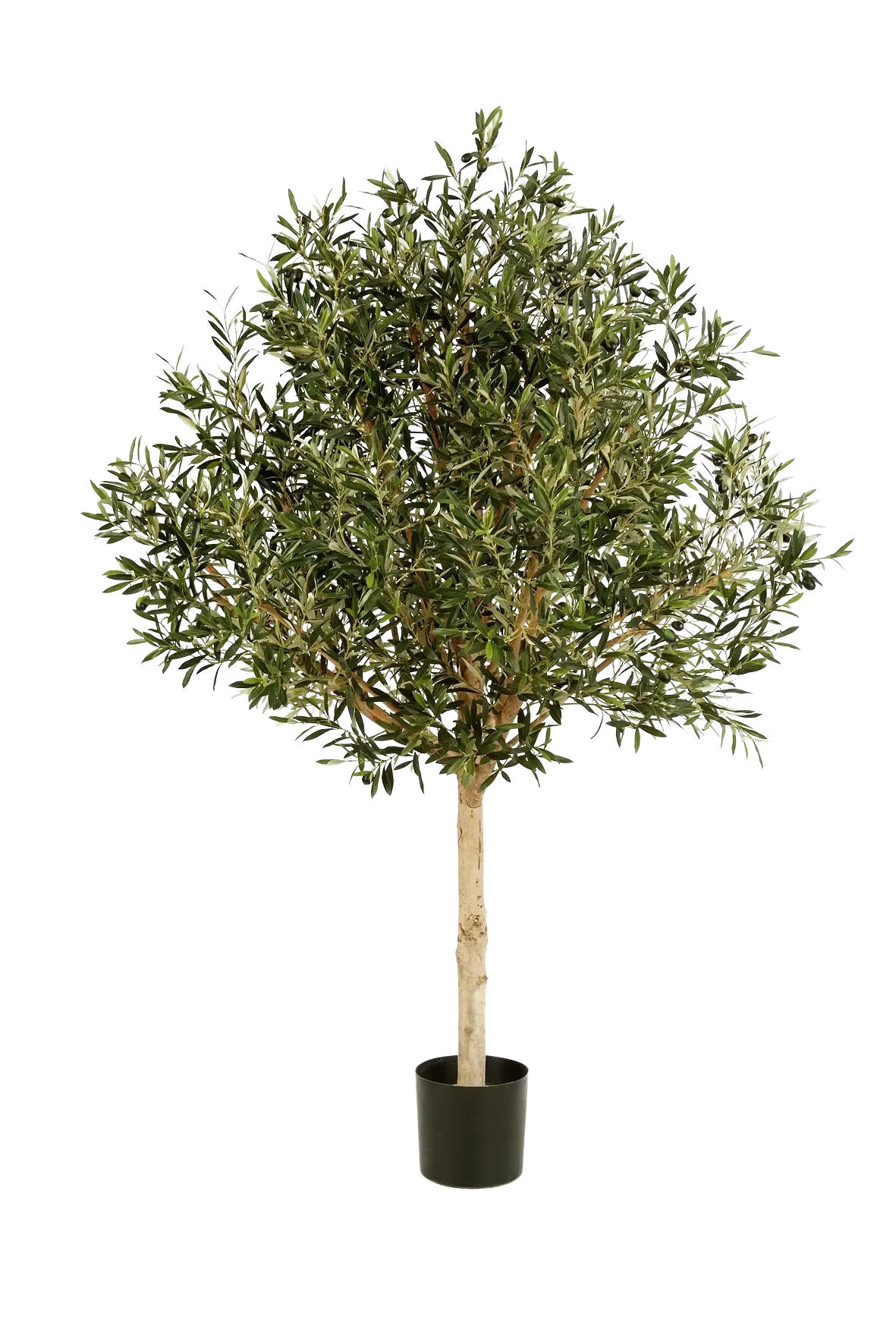 KUNSTBAUM Künstlicher Olivenbaum - Ivy 210 cm - Grün, Kunststoff (210cm) - aplanta