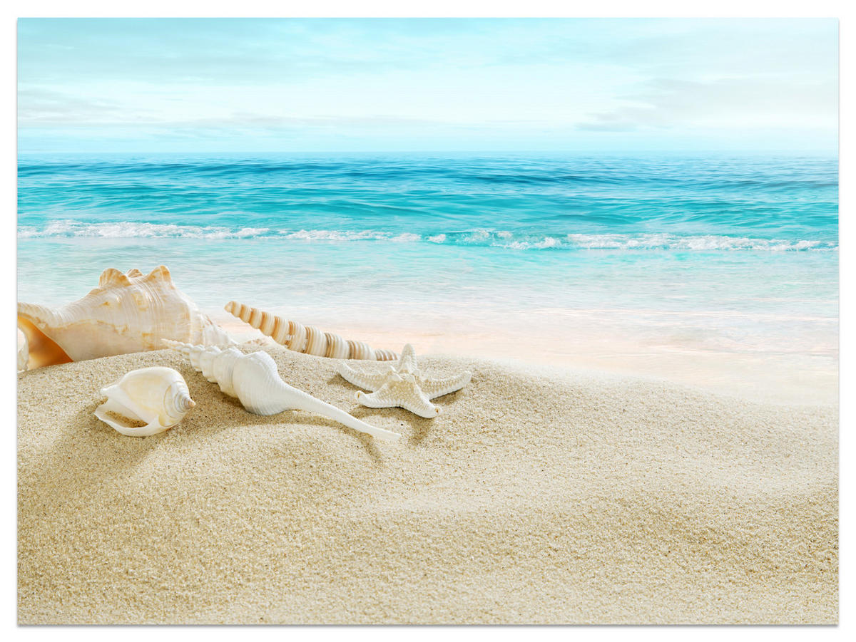 FOTOTAPETE für Badezimmer Muscheln Strand Sand Wellen Meer 150x105 - Beige/Weiß, Papier (150/105cm) - Muralo