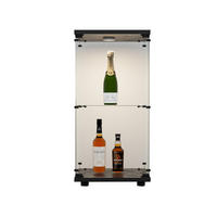 GLASVITRINE, LED-Beleuchtung, 2 Einlegeböden, 1 Tür, ideal zum Sammeln und Dekorieren in Schwarz - Schwarz, Glas (36.5/86.2/40.35cm) - BRILVERDE