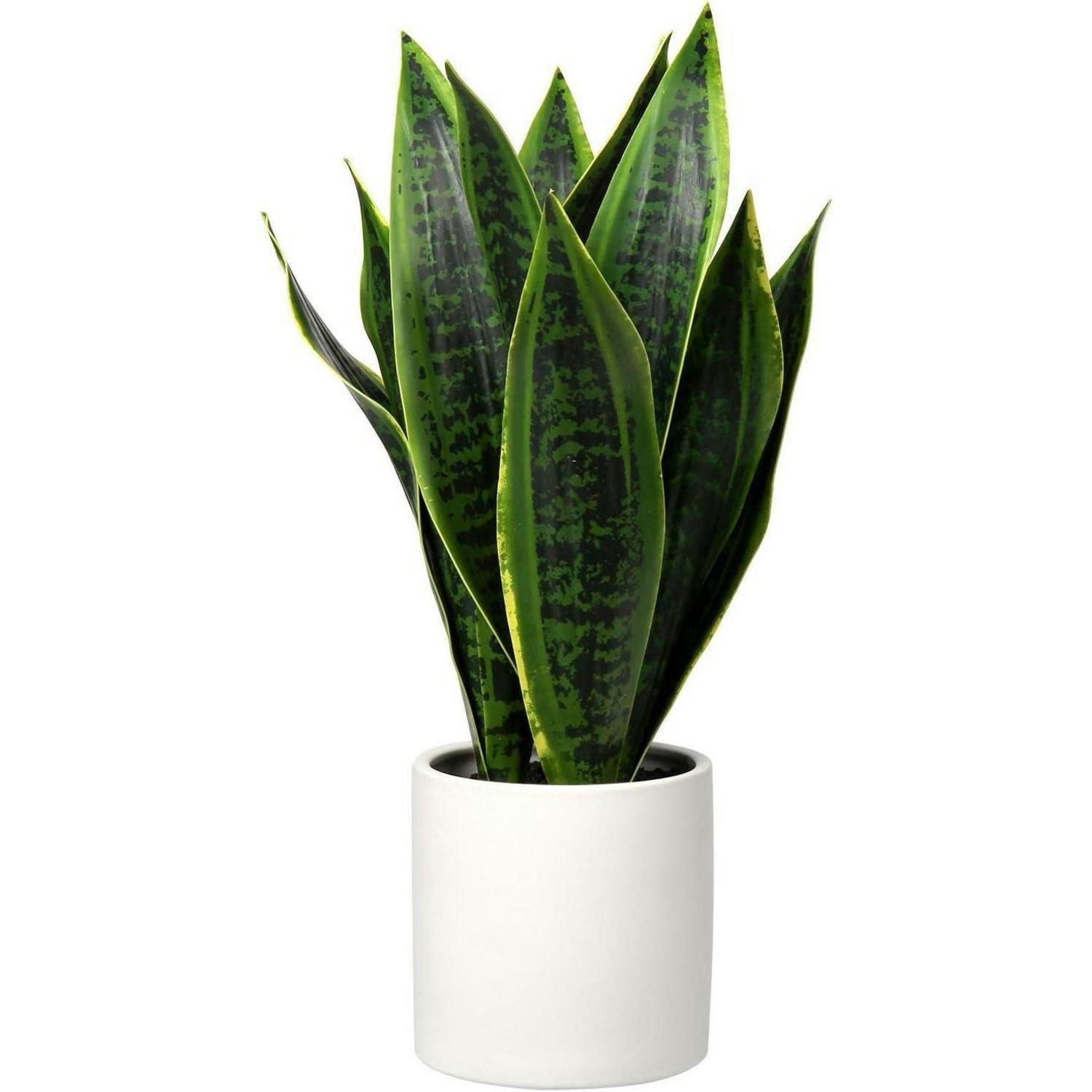 KUNSTPFLANZE Sansevieria mit weißem Keramiktopf 40.6 cm - Grün, Kunststoff (44cm)