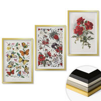WANDBILDER 3er Set - 40x60 cm Goldrahmen - Schmetterlinge, Blumen, rote Rosen - Goldfarben, Kunststoff (40/60cm) - ArtPrintCave