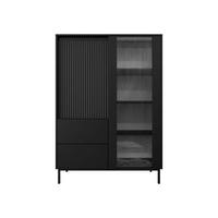 VITRINE Ozmi 2D2SZ - Schwarz, Holzwerkstoff/Metall (104/146/50cm) - MIRJAN24