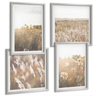 BILDER SET 4er Set - 50x50 cm & 40x60 cm Silberner Rahmen - Landschaftsgrasblumen Wärme - Silberfarben, Kunststoff (50/50cm) - TULUP