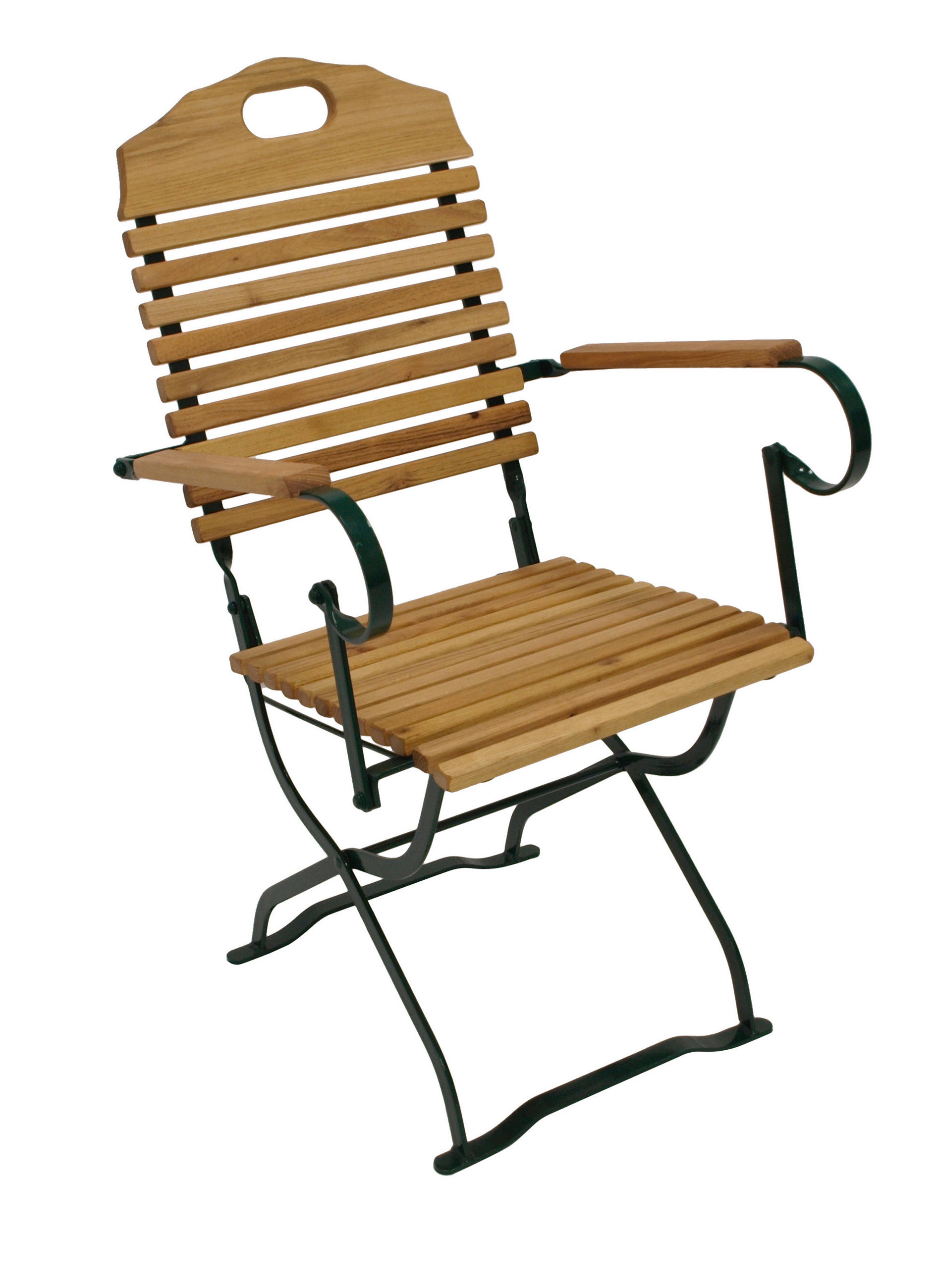 KLAPPSESSEL Bad Belzig aus Robinienholz, Stahlgestell Grün - Braun, Holz (53/95/60cm) - TPFGarden