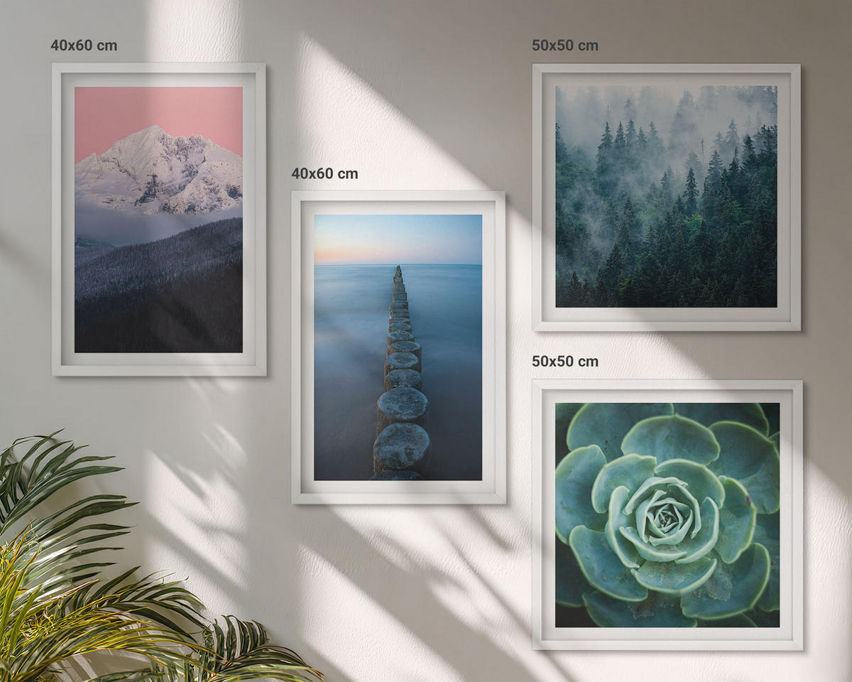 BILDER SET 4er Set - 50x50 cm & 40x60 cm Weißer Rahmen - Berge, rosa Himmel, Wasser, Sukkulente - Weiß, Kunststoff (50/50cm) - TULUP