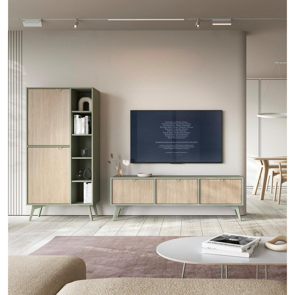 Thumbnail - Feldmann-Wohnen Wohnzimmer-Set, Grün, Holz, 7 Fächer, 238x160x38 cm, Wohnzimmer, Wohnwände, Lowboards, Lowboards stehend