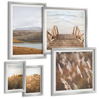 BILDER SET 5er Set - 50x50 cm & 20x30 cm & 40x60 cm Silberner Rahmen - Landschaften Wiesen Berge See - Silberfarben, Kunststoff (40/60cm) - TULUP