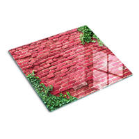 GLASPLATTE 60x52 cm Ziegelmauer - Rot, Glas (60/0.4/52cm) - TULUP