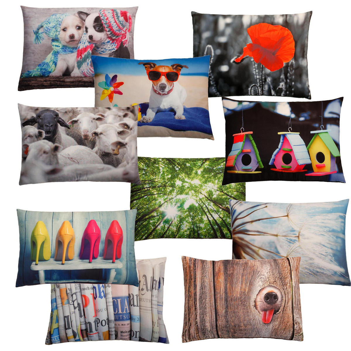 KISSENBEZUG Fotodruck 40x60 cm Schafe - Weiß, Textil (40/60cm) - TiborTex