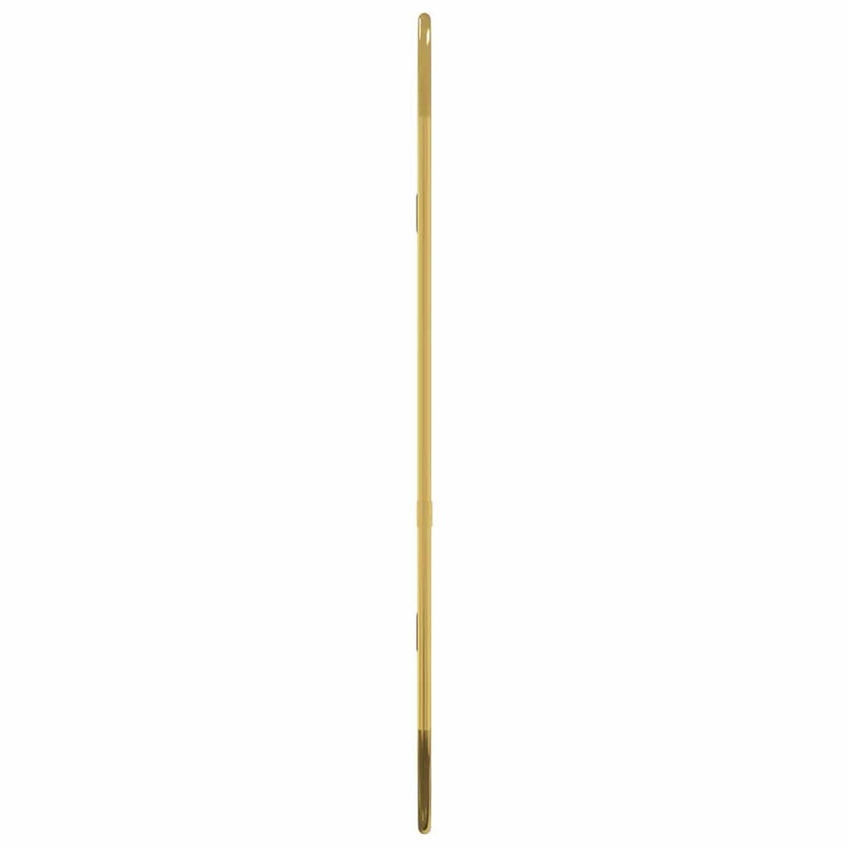 WANDSPIEGEL Golden 50x20 cm Oval - Goldfarben, Glas (20/50/1cm) - furnicato