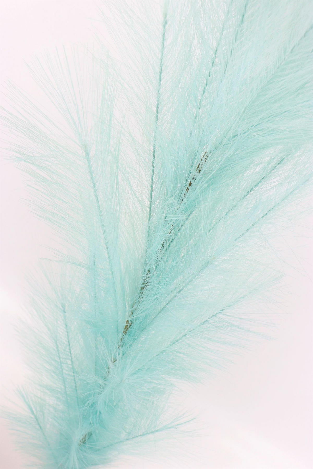 ZIERFEDER Ozeanblau 170 cm - Blau, Textil (0.01/170/1cm) - FURNARO