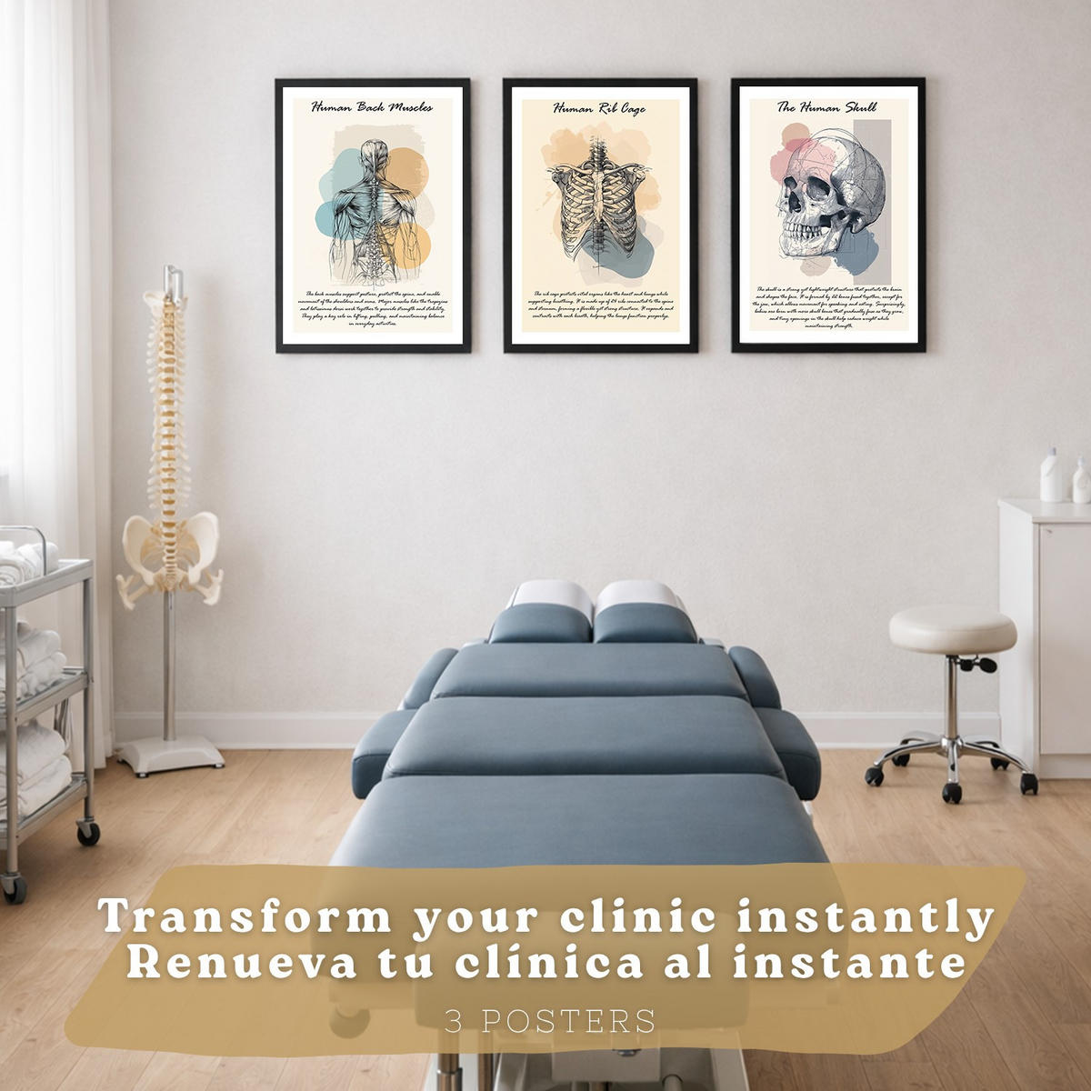 POSTER Set aus 3 Anatomie Mensch Lernposter Drucke und Wandbilder mit Muskeln Rücken Brustkorb Schädel Wanddekoration Größe Schwarzer Rahmen A4 - Schwarz, Papier (21/29.7/3cm) - Nacnic