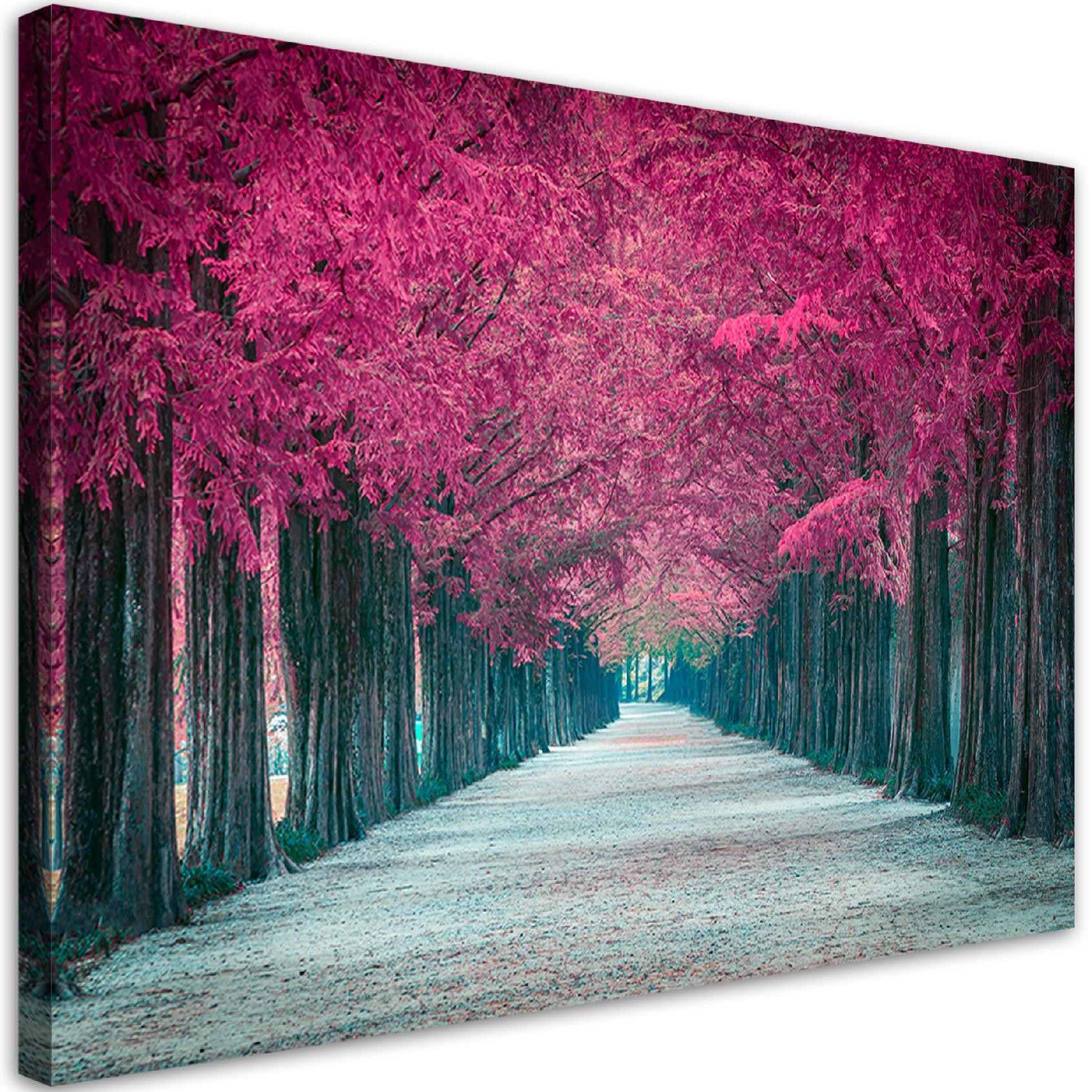 WANDBILD avenue von rosa bäumen - Lila, Textil (60/40cm) - Feeby