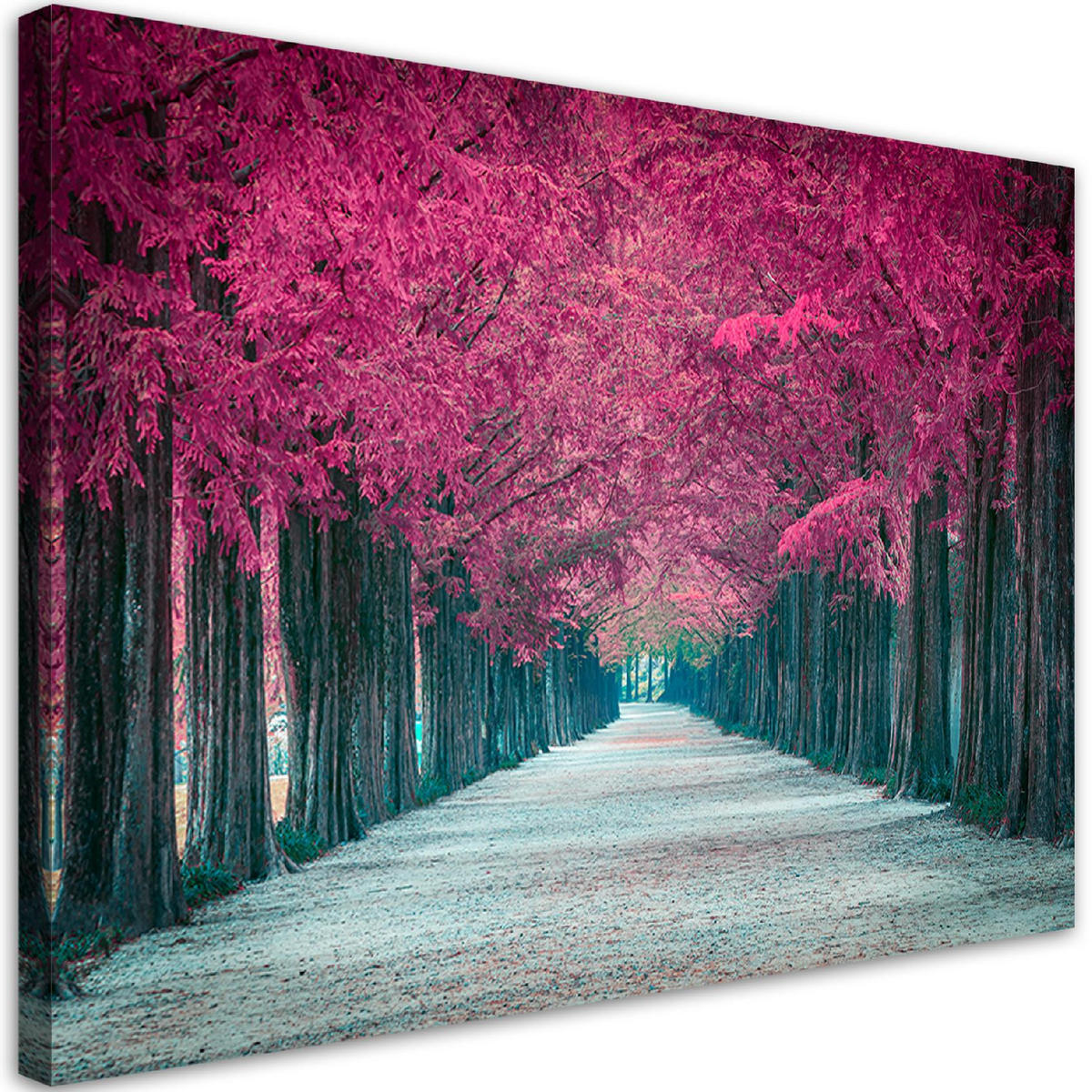 WANDBILD avenue von rosa bäumen - Lila, Textil (60/40cm) - Feeby