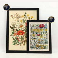 POSTER Set Mit 6 Blumenanatomie In Vintage A3 & A4 Schwarzer Rahmen - Schwarz, Papier (29/3cm) - Nacnic