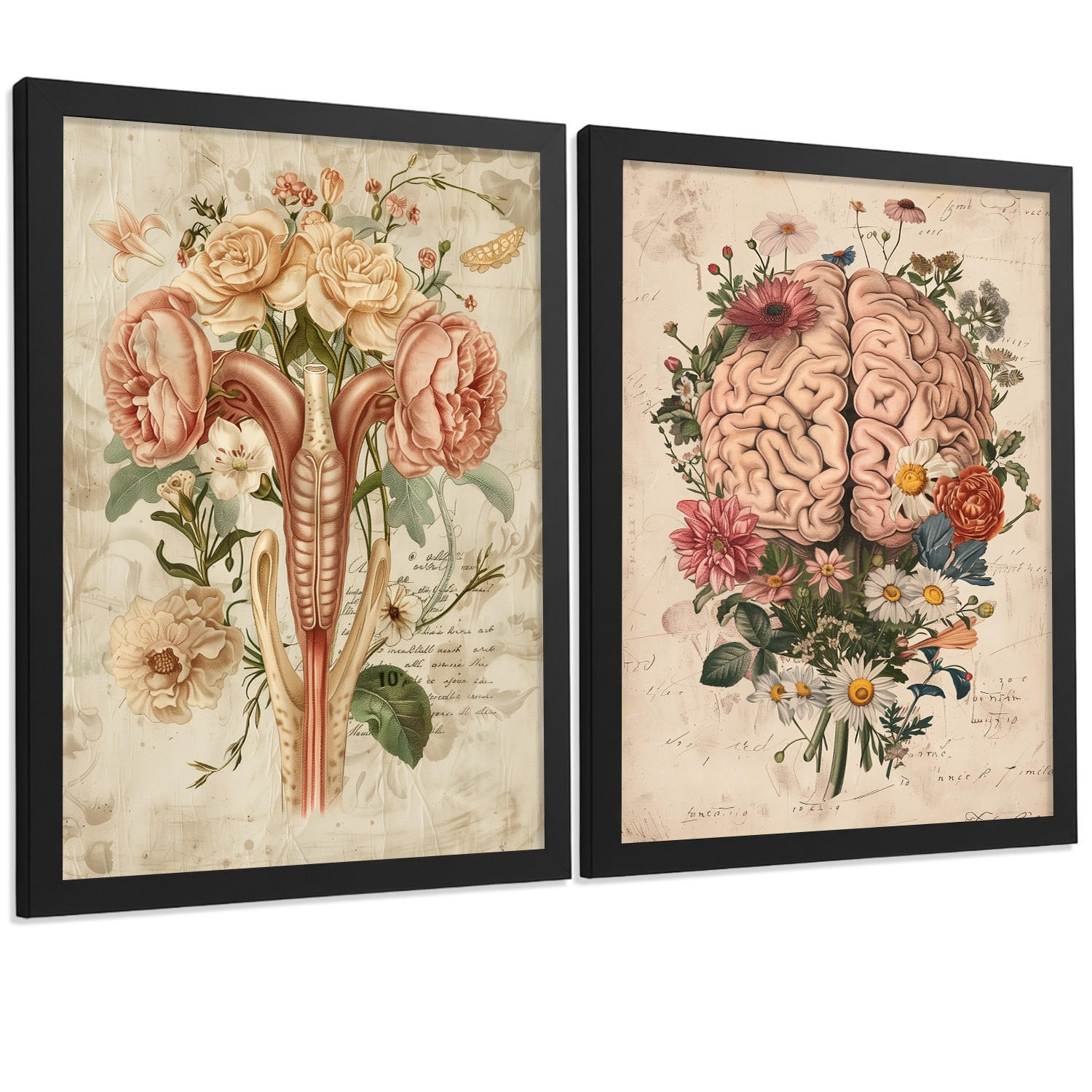POSTER Set aus 2 Weibliche Anatomie Drucke und Wandbilder mit Gehirn und Gebärmutter Botanischer Retro Vintage Floraler Stil Größe Schwarzer Rahmen A4 - Schwarz, Papier (21/29.7/3cm) - Nacnic