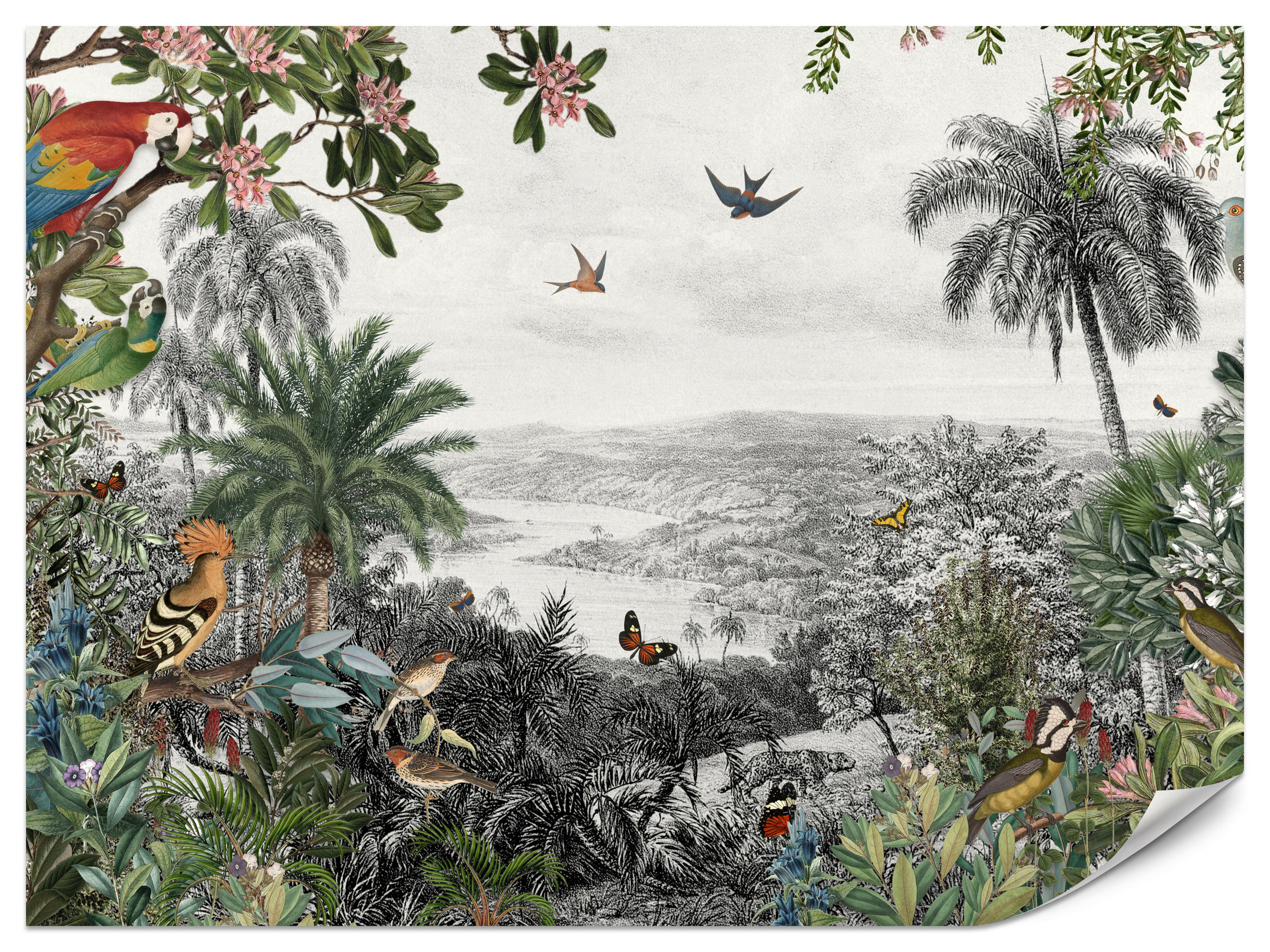 FOTOTAPETE für Wohnzimmer Tropenpapageien Vögel Palmen 350x256 - Gelb/Rot, Papier (350/256cm) - Muralo