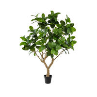 KUNSTBAUM Künstlicher Gummibaum - Temptus 240 cm - Grün, Kunststoff (240cm) - Emerald